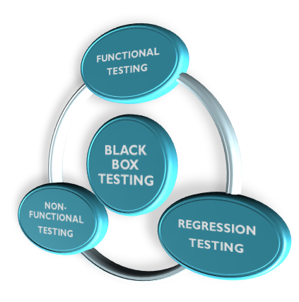 What is Black Box Testing, Techniques & Examples